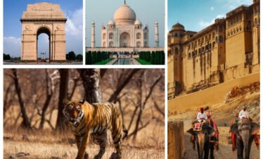 Golden Triangle Tour with Ranthambore