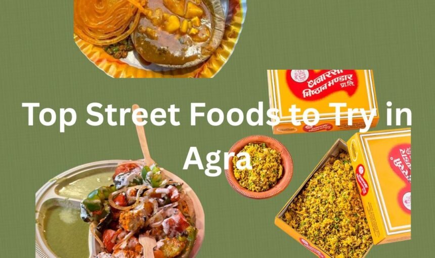Top Street Foods to Try in Agra