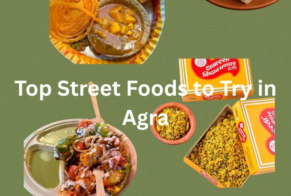 Top Street Foods to Try in Agra